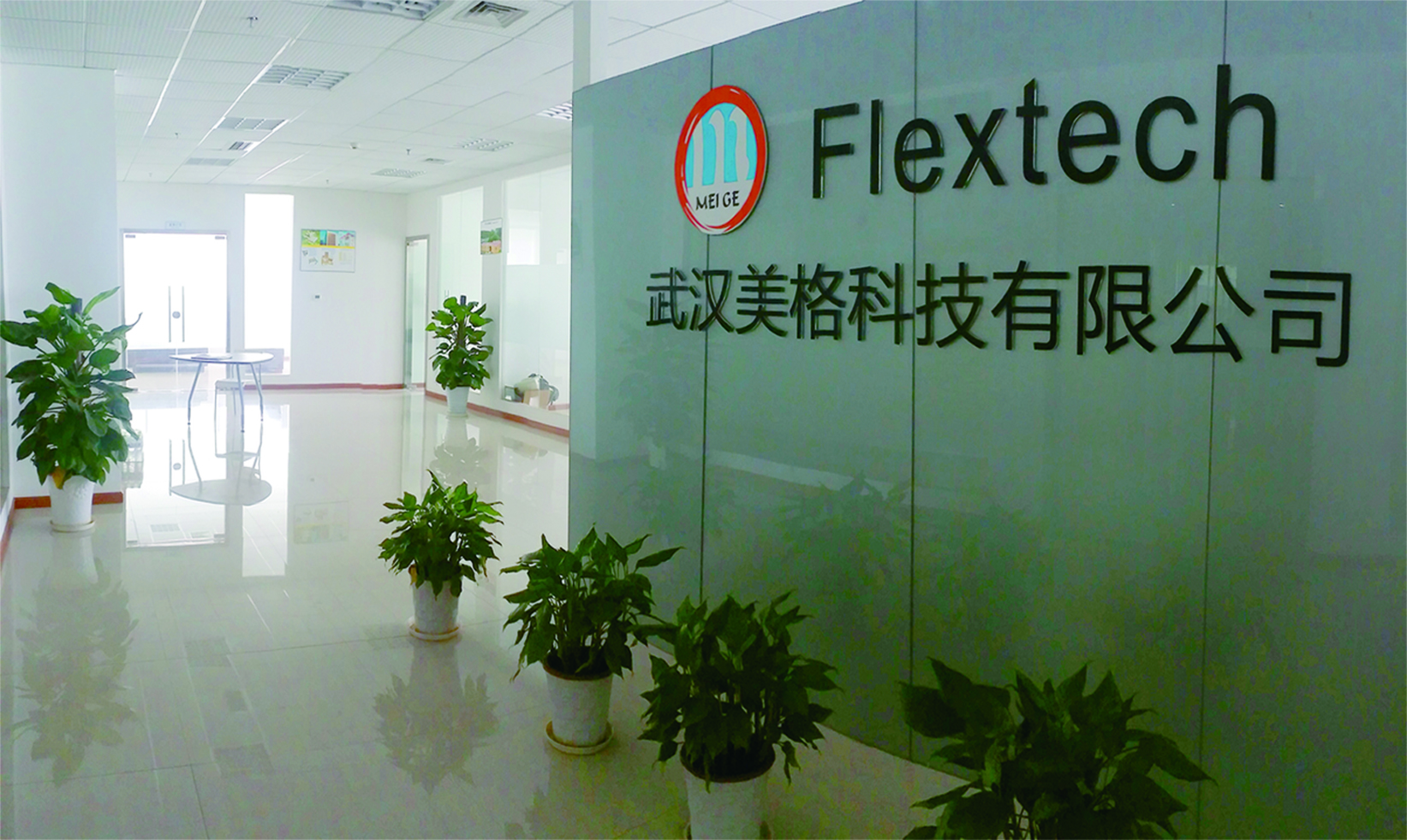 Flextech Company 